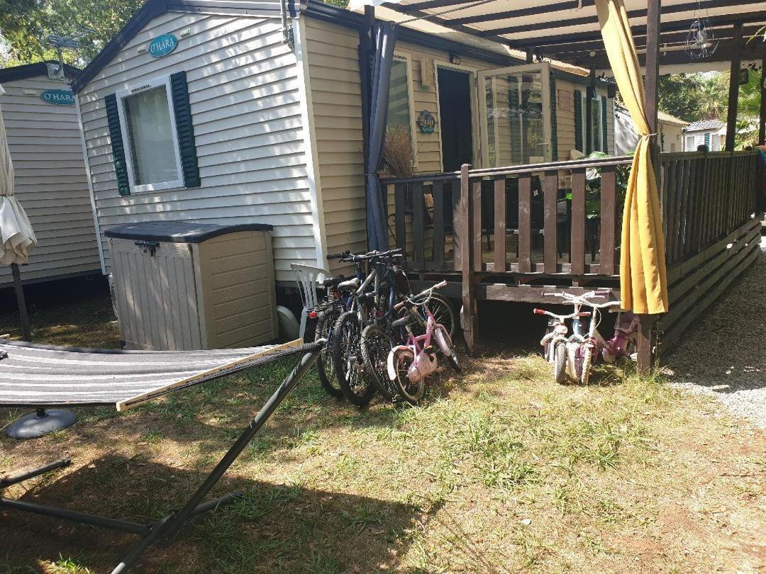 Campsite Mobile Confort Selena